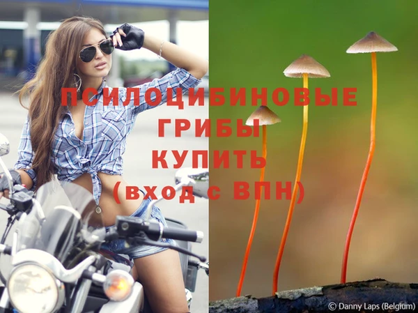круглые Бородино