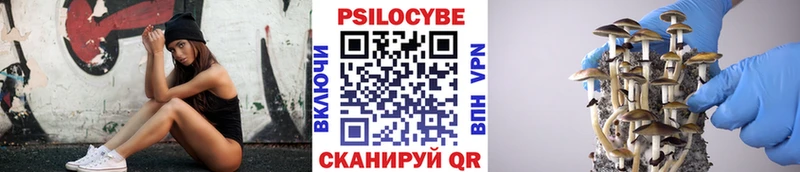 Галлюциногенные грибы Psilocybe Белый